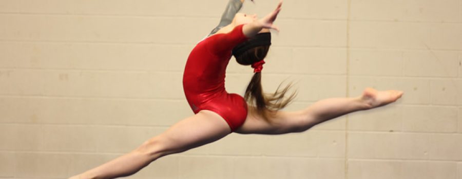 Gymnastics and The Spine