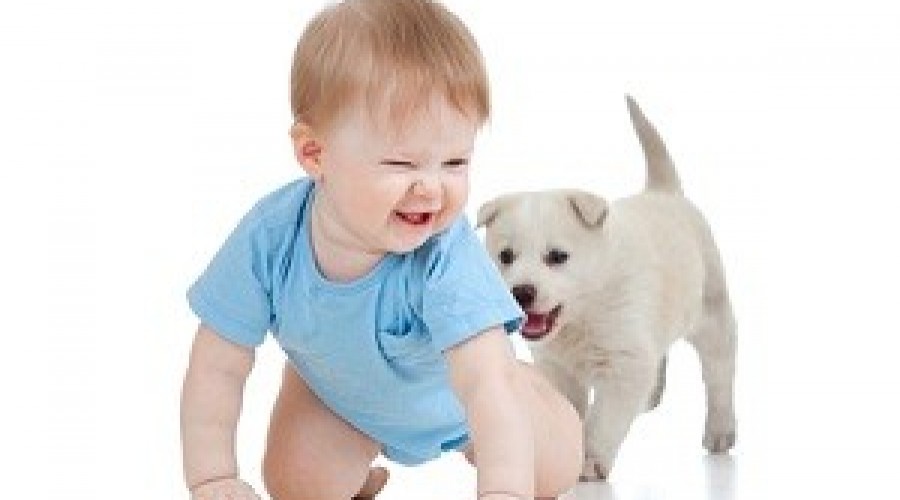 Kids Corner: To Crawl or Not to Crawl? That is the Question.